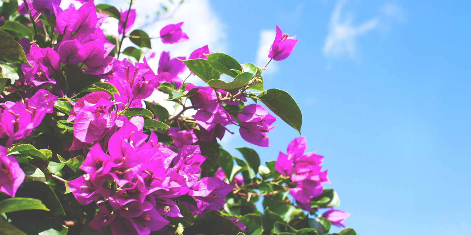 株式会社ルミライズ